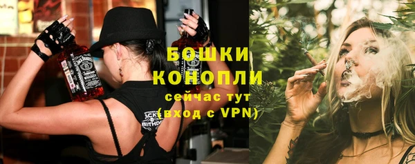 твердый Новодвинск
