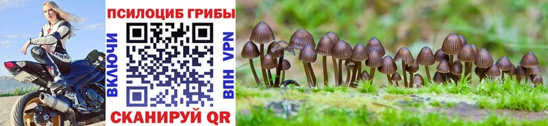 Псилоцибиновые грибы MAGIC MUSHROOMS  наркотики  Владивосток 